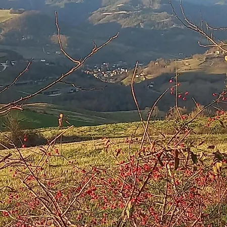Gæstehus Raggio Campacci Di Sacchetti Vanessa Rovereto (Trentino Alto Adige)