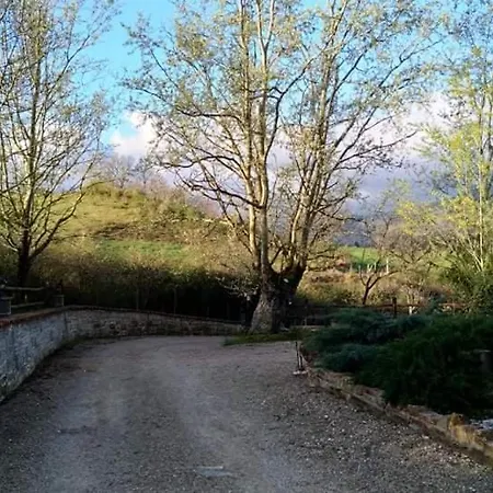 Raggio Campacci Di Sacchetti Vanessa * Rovereto (Trentino Alto Adige)